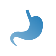 stomach