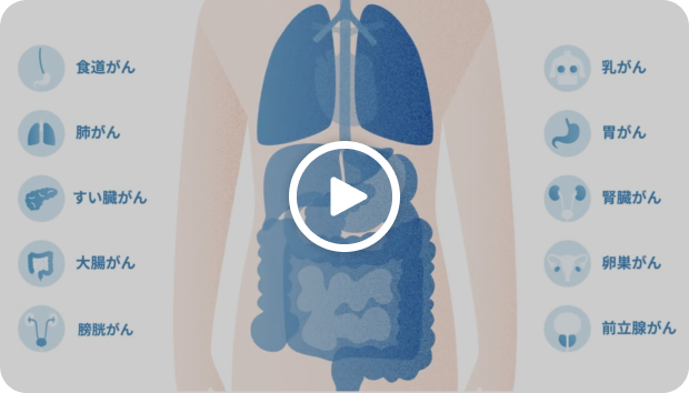 マイシグナル紹介動画サムネイル